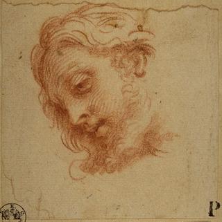 Head of a Man