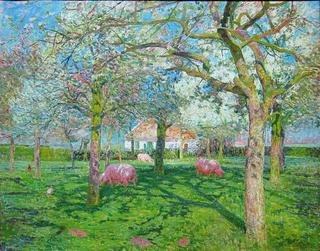 Orchard in Spring