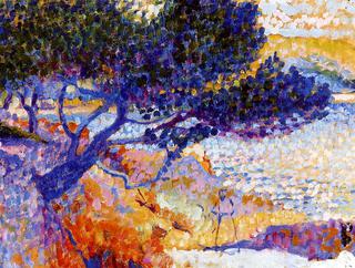 The Bay of Cavaliere (study)