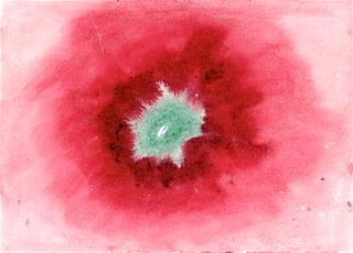 On the Viewing of Flowers and Trees: Untitled