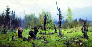 The Burnt Forest