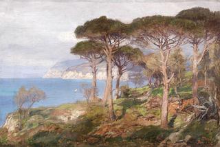 Landscape in the South of France