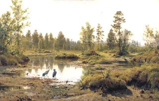 Marsh in Polessie