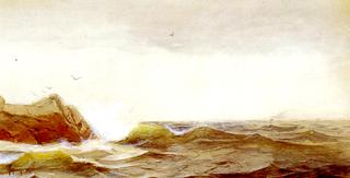 Seascape with Gulls Overhead