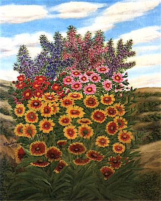 Gaillardias