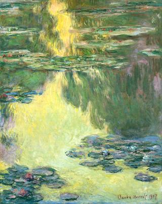 Waterlilies