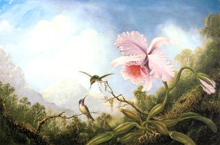 Two Hummingbirds and an Orchid