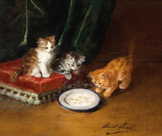 katzchen