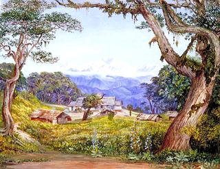 View of Kinchinjunga from Tonglo