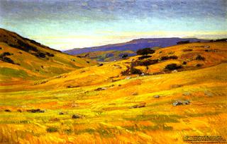 Grassy Hillsides