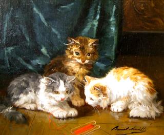 mischievous kittens