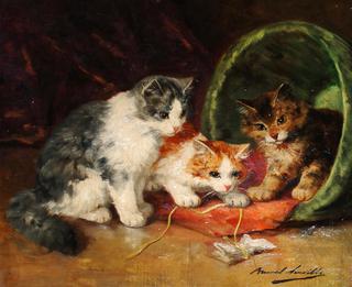kittens at play