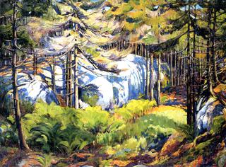 Wooded Landscape