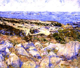 Sand Dunes in Monterey