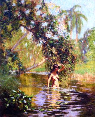 Bather, Cuba