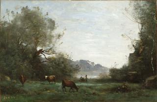 Cattle at Pasture in a Wooded Valley