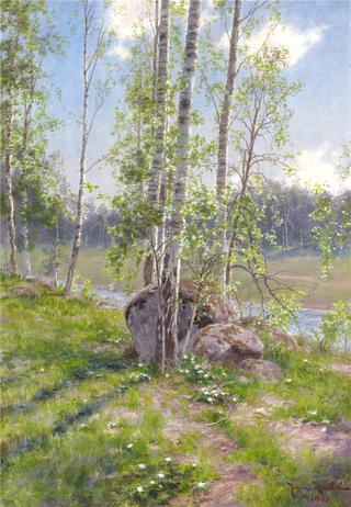 Birches