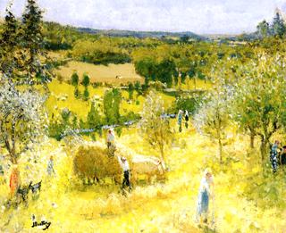 Spring Landscape