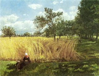 Cropland in Rochefort