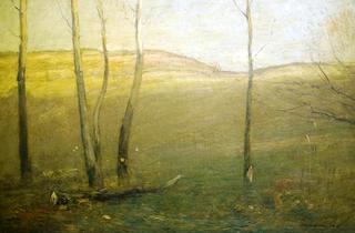 Afternoon Light On The Hills