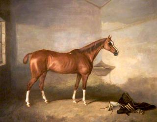 A Chestnut Horse in a Stable