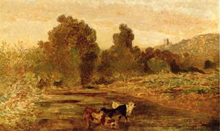 Pasture Land by Water