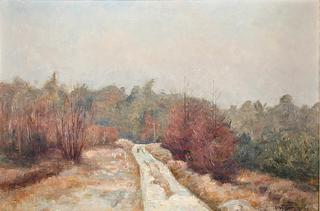 Forest Path