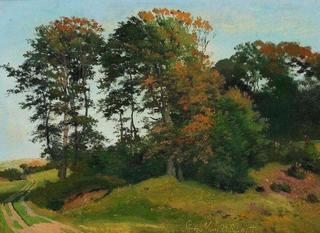 Landscape Study