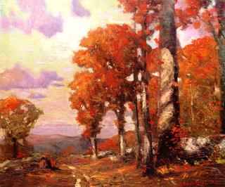 Fall Trees at Sunset