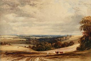 A View in Sussex
