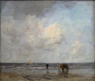 Schelpenvisser