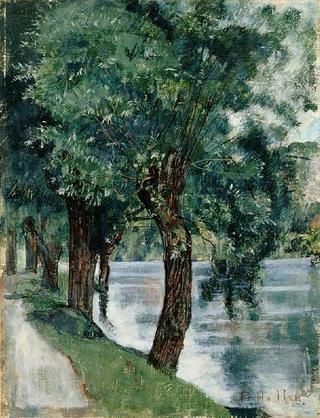 Willows on the Rhone