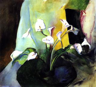 Calla Lilies