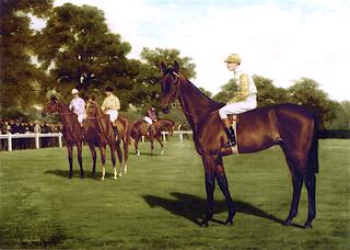 Racing at Newmarket