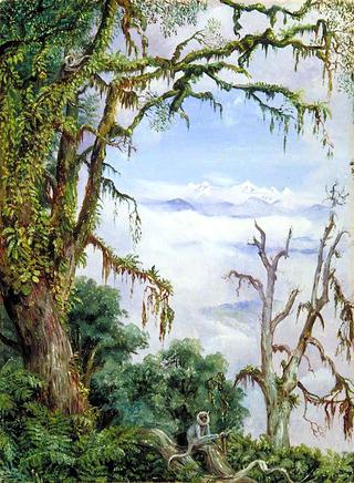 Panch Choola from Binsur, with Oak Trees and Grey Apes in the Foreground