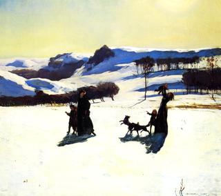 Snow Fields