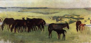 A herd of horses