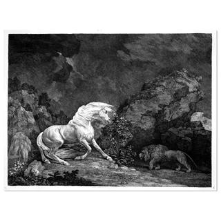 A Horse Affrighted by a Lion