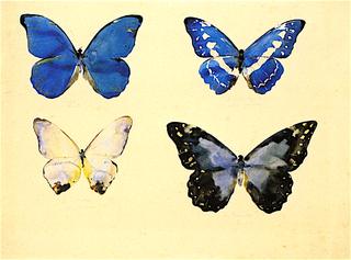 Butterflies