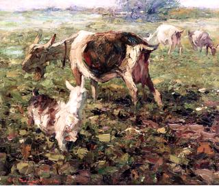 Goats in the Field