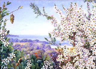 View near Brighton, Victoria