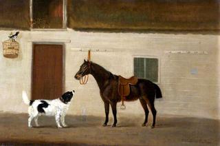 Bruen, a Spaniel, and Squirrel, a Black Horse