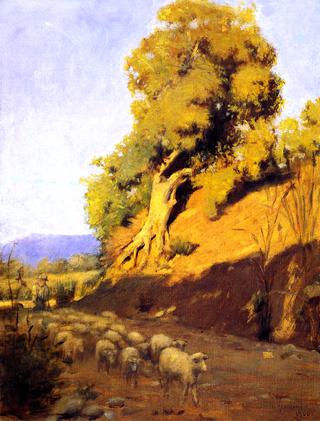 Shepherd and Flock