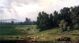 Landscape with Sheep