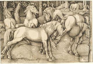 Ejaculating Stallion Rejected by Mare
