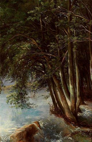 Trees at the Bank