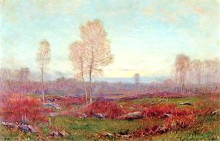 Twilight Autumn