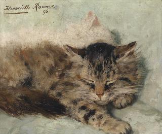 two sleeping kittens