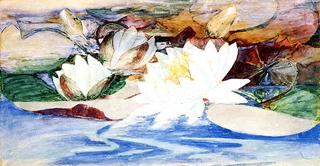Waterlilies