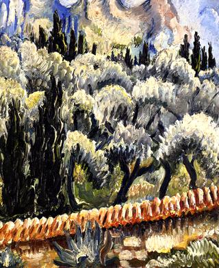 Olivenbaume, Mausanne, Cassis